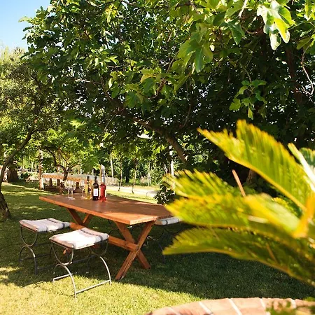 La Molinalda Apartment